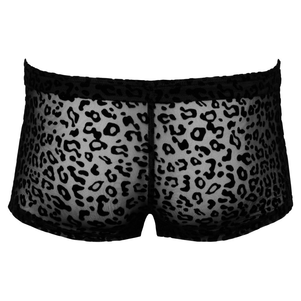 Noir Sheer Animal Print Pants – Explore Enhanced Intimacy | Discreet UK Shipping