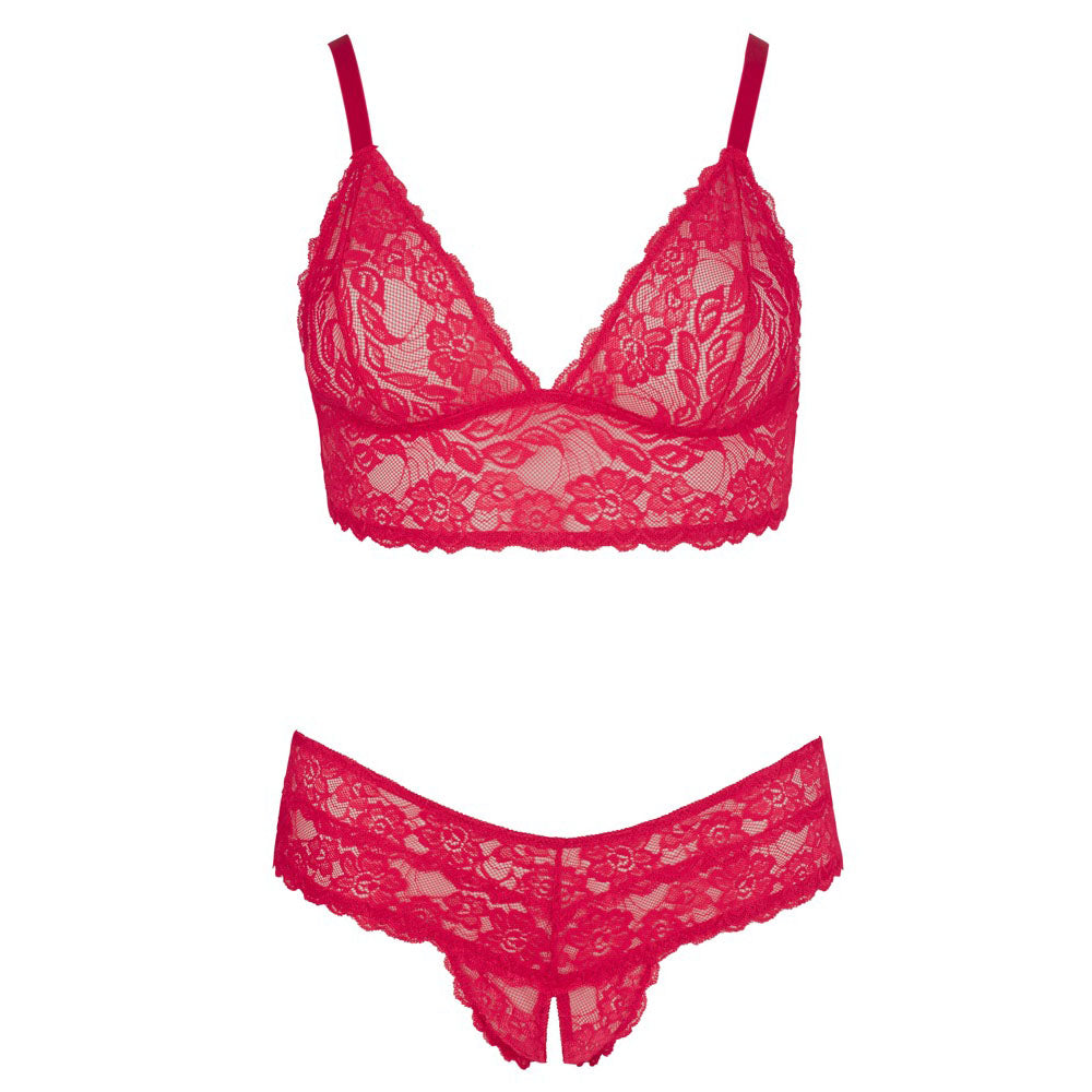 Cottelli Plus Size Red Lace Bra And Briefs – Explore Enhanced Intimacy | Discreet UK Shipping