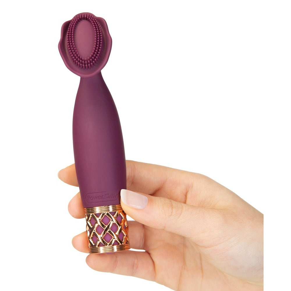 Pillow Talk Secrets Passion Mini Massager – Explore Enhanced Intimacy | Discreet UK Shipping