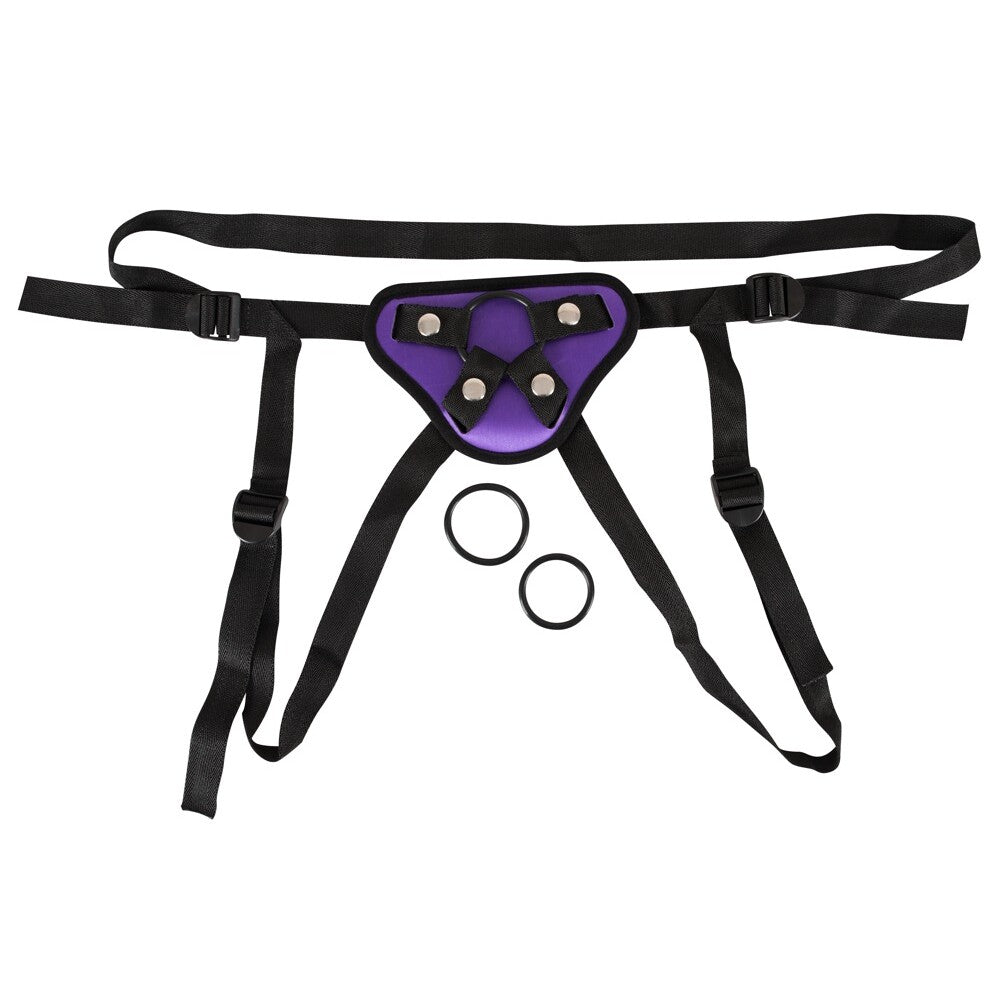 Purple And Black Universal Harness – product image for adult pleasure and intimacy