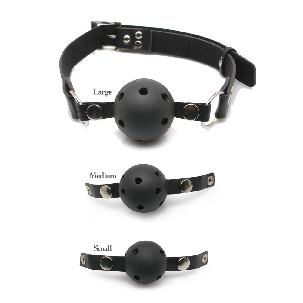 Fetish Fantasy Series Ball Gag Training System – product image for adult pleasure and intimacy