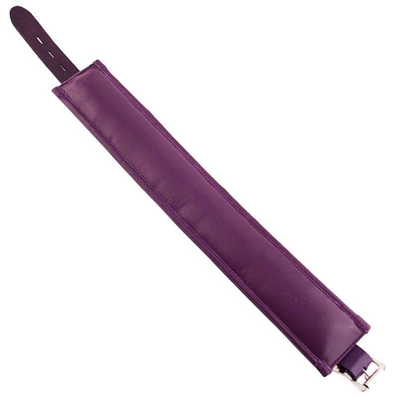 Rouge Garments Purple Padded Collar – Explore Enhanced Intimacy | Discreet UK Shipping