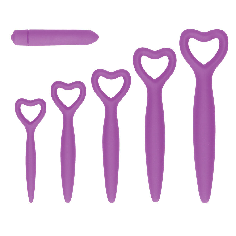 Ouch Silicone Vaginal Dilator Set Purple